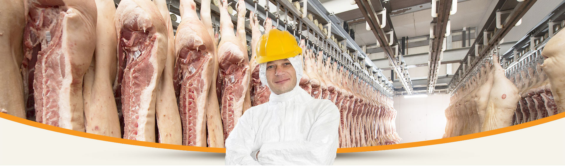 venta de cerdos en canal y capotes