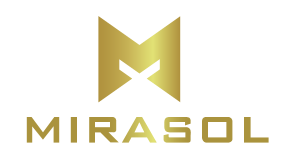 grupo mirasol produccion de cerdos