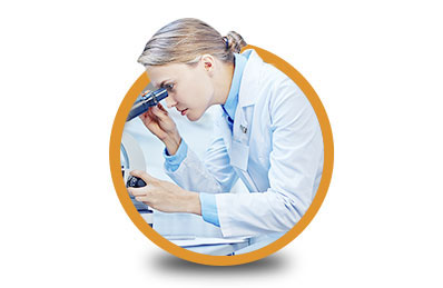 CTG Genetica porcina